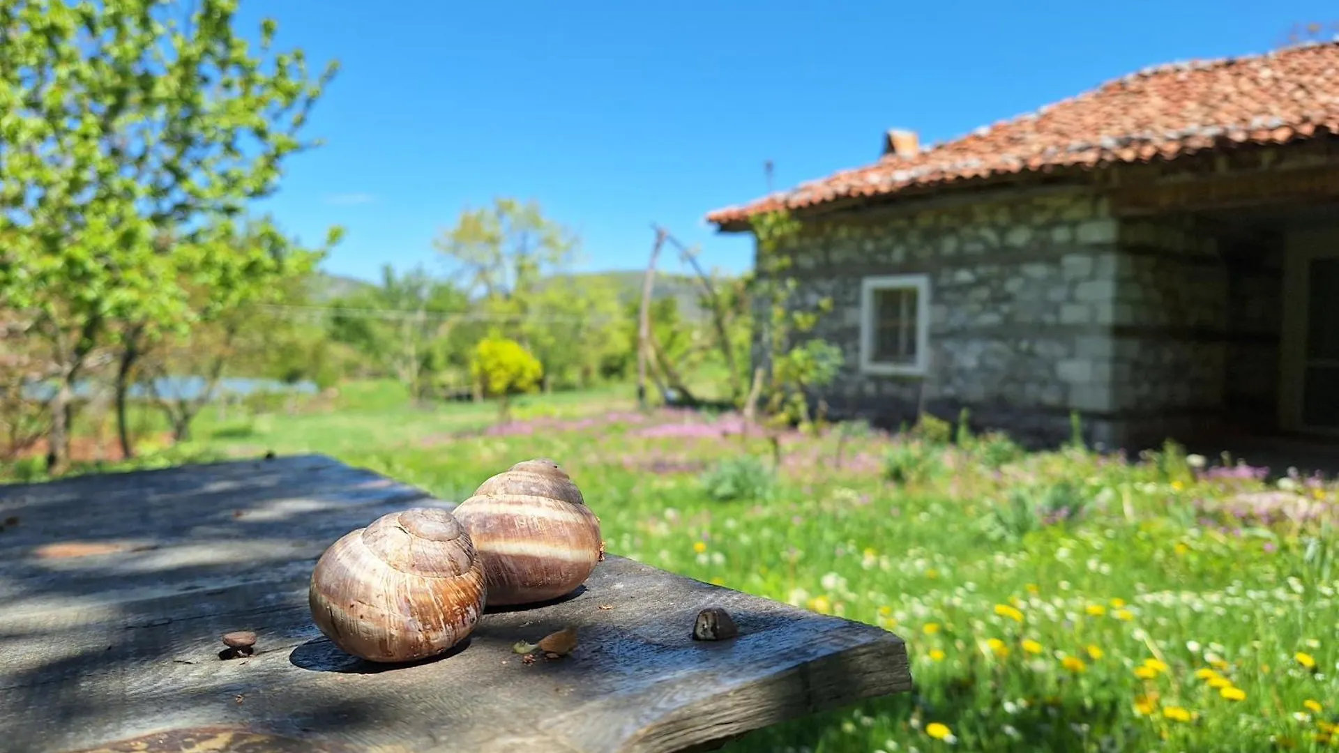 Revita Stone House Elbasan Albanien