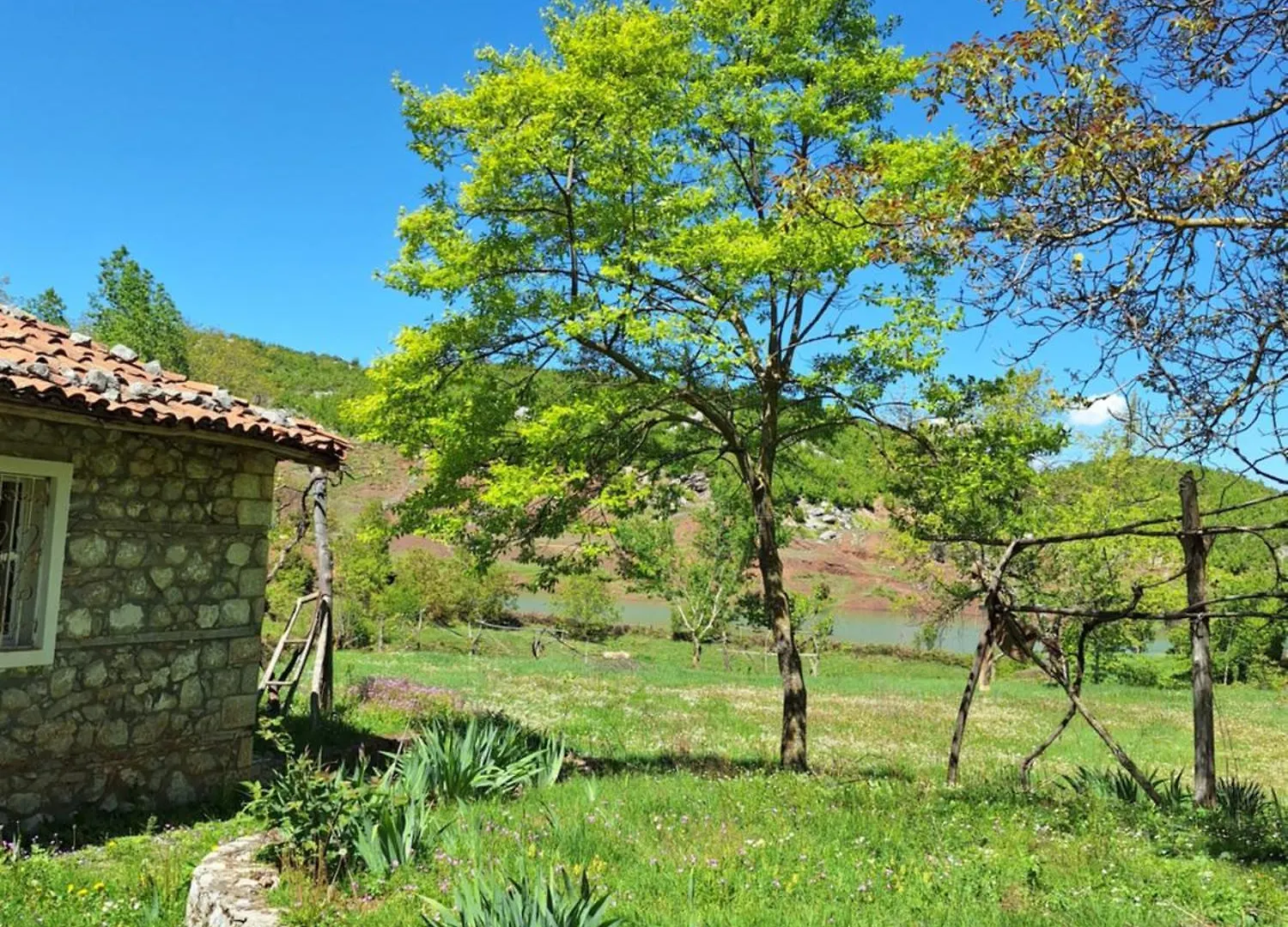 Vandrarhem Revita Stone House Elbasan Albanien